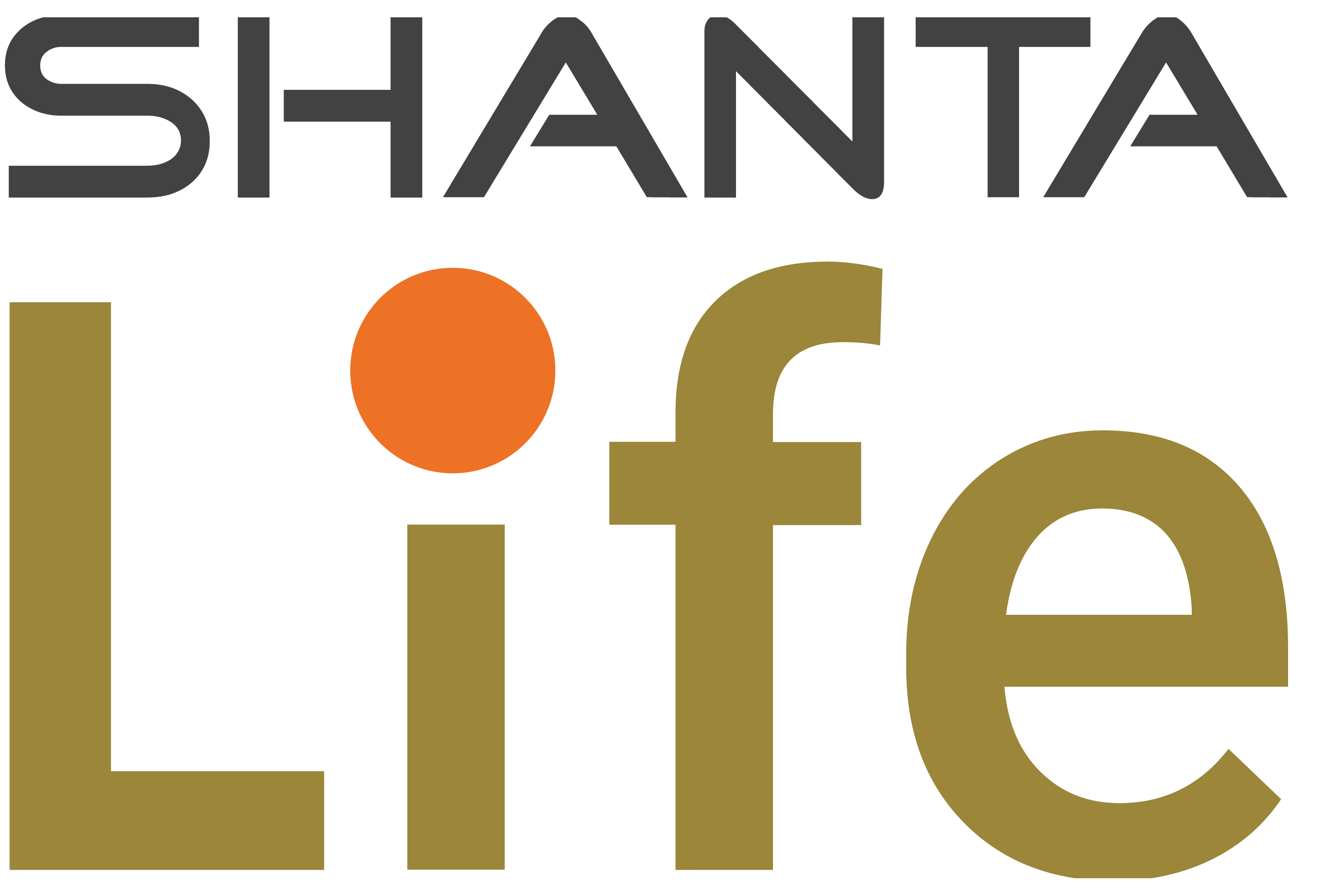 shanta-life-insurance